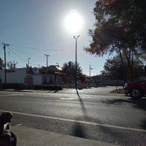 Tampa.Bay24dik