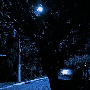 animal noturno