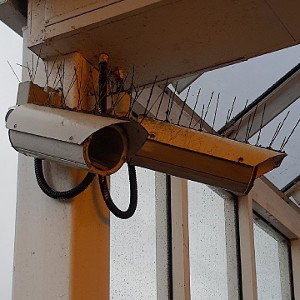 pipesess_1