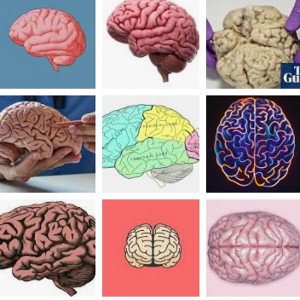 trouble in the brain 