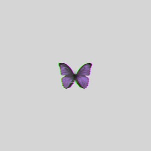 BUTTERFLY ft JR