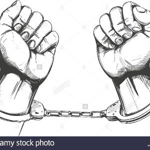prison break(Timmy