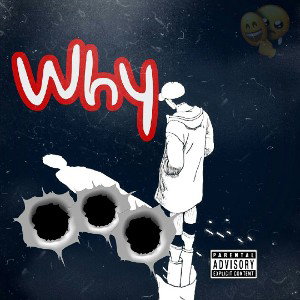                                         WHY