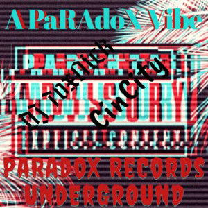 PaRAdoX ViBeS (DJ ToxNick) 