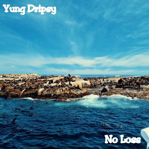 No Loss