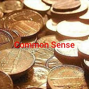  Common Sense