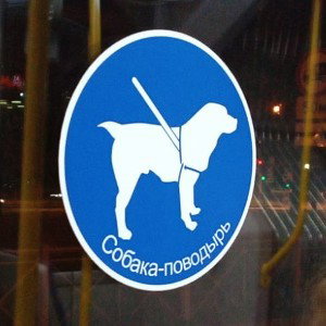 🐩Нам подскажет Пёс🐕