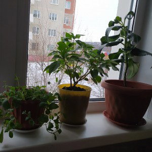 уходи