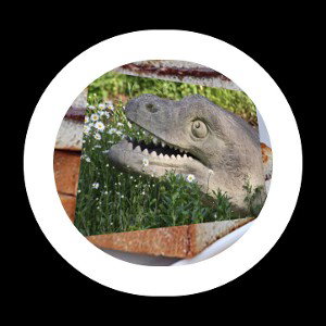 Dinos punching up daisies