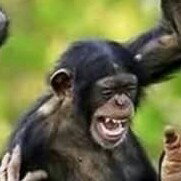 battle contre un rageux
