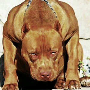 my ol' tym friend (Rap music)