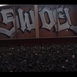 Swoel