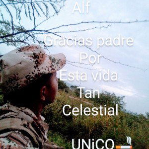 el don