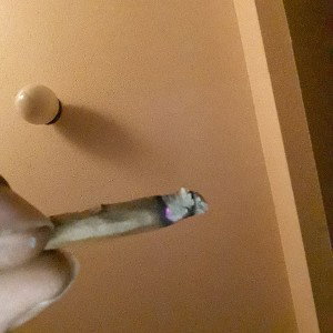 In Da Drugg Warr