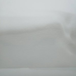 abletone