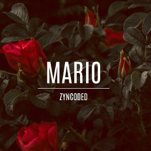 ZynCoded - Mario