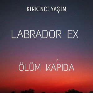 LABRADOR EX-ÖLÜM KAPIDA