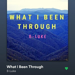 BLUKE - Been Thru