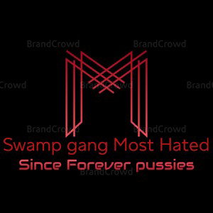 Swamp Gang - What Happened