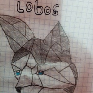 Los lobos solitario
