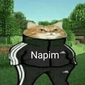 Napim 2