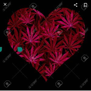 corazon expuesto .