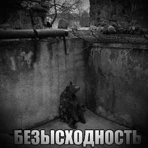 безысходность 