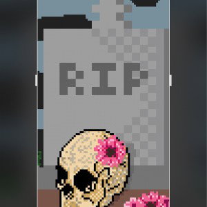 Flowers for the dead 