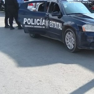 poli k transa