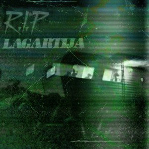 R.I.P PEJELAGARTO🖕🦎