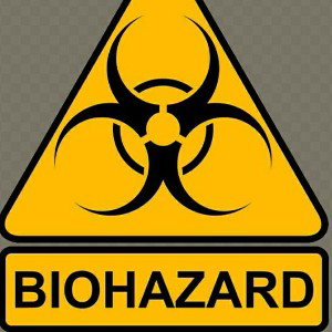 BezD》Epidemia