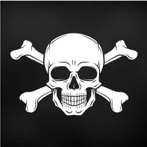 freestyle#1 la piraterie 