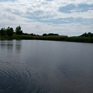 жизнь сложная штука
