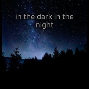 in the dark