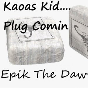 3. Plug Comin