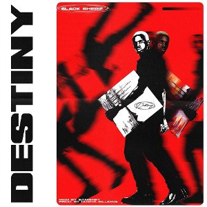 Destiny[@music4Syte]