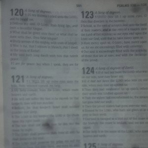 My psalm.  120 121 123