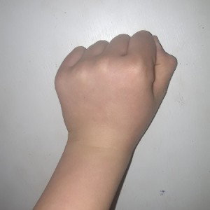 семья