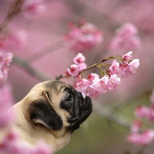  Spring chill