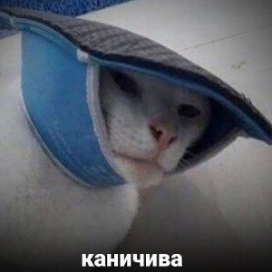 Дисс на новых реперов-ванкханалия