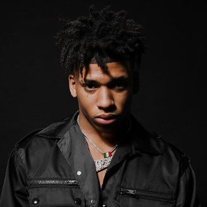 Draco Freestyle 
