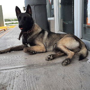 un pequeño tropiezo