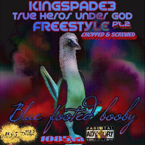 blu foot booby pt2