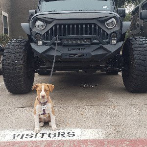 Bad Mofo