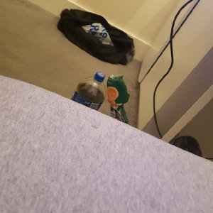 bang haha