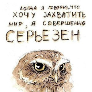 violet/вайолет