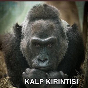 ÖLÜYORUM