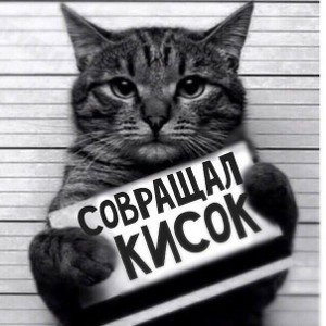 фристайл 