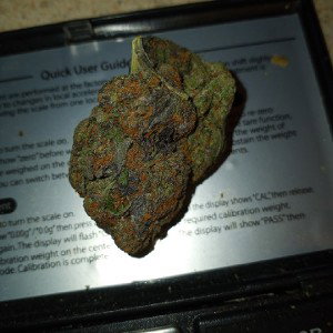 Mary Jane 