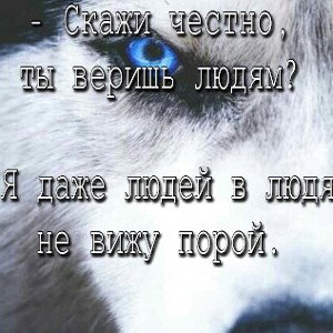 Моя свобода